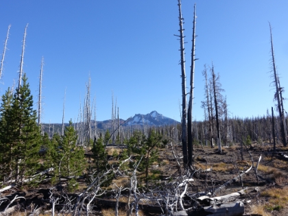 Our first view of the South Sister as we start to think about where to stop for the night. I was really hoping to make it out of the burn area to setup camp. It would mean pushing to almost 15 miles for the day, but the trail had been fairly flat thus far. There was a small lake on the map (that we hoped still had water) just on the border of the burn that looked like a good target.