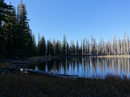 Made it to the lake almost exactly at our 5:00pm cutoff time. It was a small lake but perfect for refilling water and for giving us a scenic view from the tent. You can see how the burn area stopped right here at the lake.