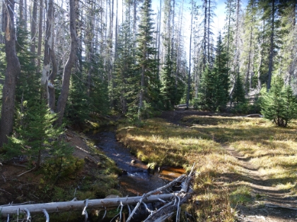 Packed-up and on our way, it's great to be out of the burn area and back into the green.