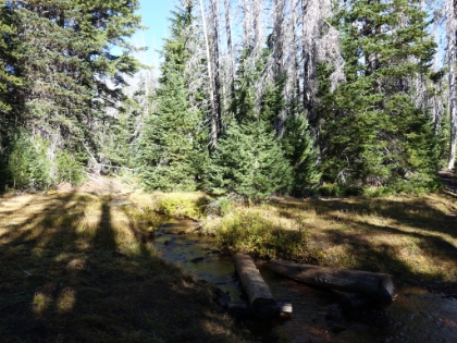 Water and green everywhere...