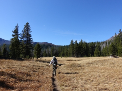 Heading through Park Meadow. I would love to see this area in early Summer when it's still green.