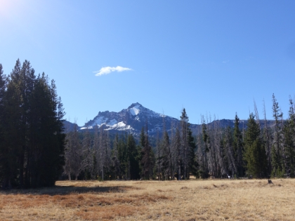 More great views of Broken Top across the meadow.