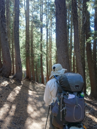 Dr. Rock is really not looking or feeling well at this point. We hadn't see anyone all morning, but we're frequently passing day hikers now as we near the junction with the Green Lakes trailhead. It's the entry point to the South side of the loop and the last chance to leave the loop until we circle all the way back around to Lava Camp. Dr. Rock first mentions the idea of him leaving at the Green Lakes trailhead. I'm hopeful it won't come to that.