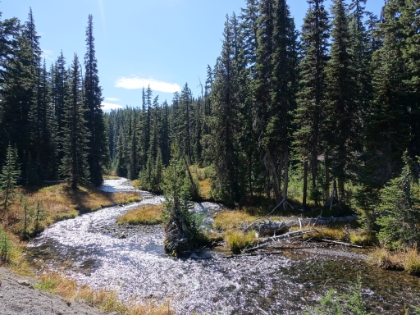 More great views along Fall Creek. Unfortunately, I don't think Dr. Rock is able to enjoy them.