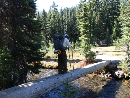 The last stream crossing for Dr. Rock. He was visible wavering as he crossed this one.