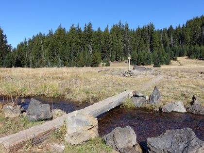 I'm officially on the PCT now, and will be for the next 20+ miles. I hit the first water since Moraine Lake last night. I'm worried that timing water for tonight is going to be tough again.