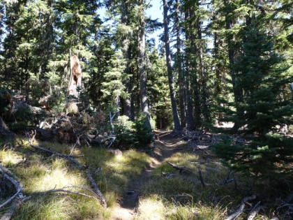 More goregous single track. You could probaly spend a lifetime fully exploring the trail system in Central Oregon. I definitely see why it's such a hotspot for trail runners.