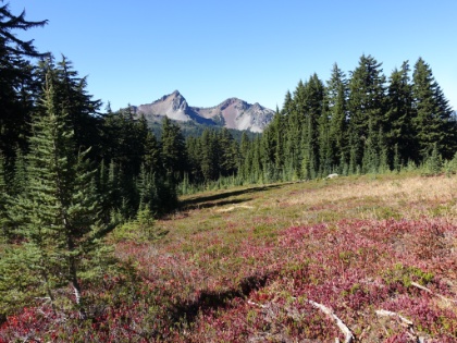 I'm not sure what peaks those are, but they're a focal point along this entire stretch of trail.