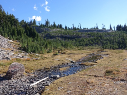 ...and then snakes away as a little creek. Pretty cool.