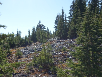 This is called the Obsidian area for a reason. There are tons of obsidian rocks everywhere. Some larger ones, but mostly smaller rocks that almost look like black plastic chips. Perfectly smooth, polished, and shiny. The photo just doesn't capture it, but entire hills shimmer in the sunlight.