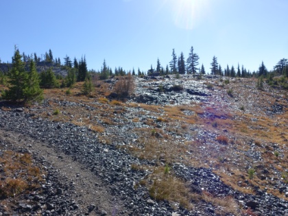 One more attempt to capture a shimmering obsidian hillside. All of the white specs are little obsidian mirrors.