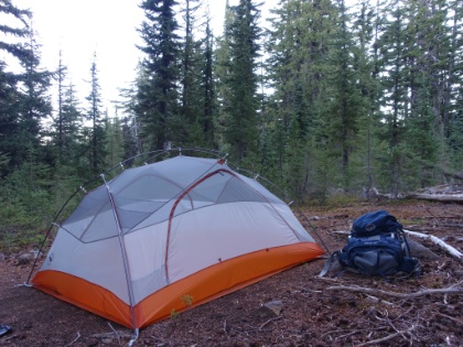 Another beautiful forest campsite. Up and at 'em for my last day on the trail.