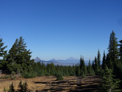 I can't get enough of this view.