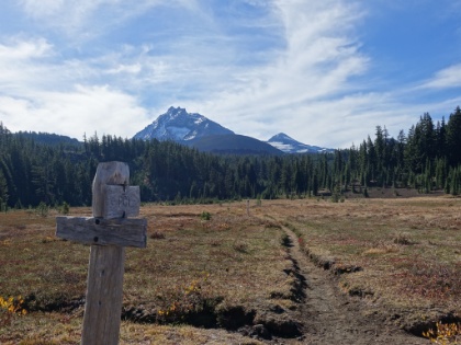 Continuing North on the PCT. I have to remember to look behind me occasionally for more great views of the North and Middle Sister. I actually saw a human in this area, the first since Moraine Lake, almost two full days ago.