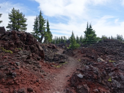 Some of my favorite single track from the entire loop, and it's not even in a forest.