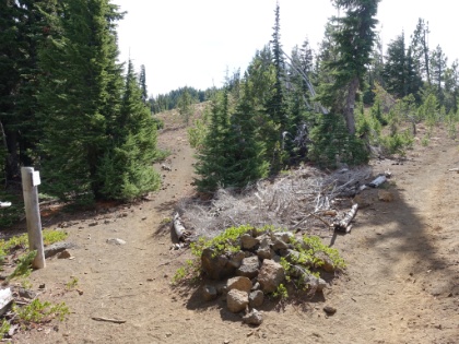 All the way back down to the loop junction. Hard to believe it was over three days ago since Dr. Rock and I went left (clockwise) here. It's tempting to go for another lap, but I'm really starting to get anxious to see if our car is still at the trailhead, and to see how Dr. Rock is doing.