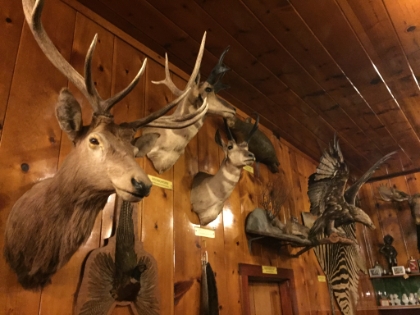 We had dinner at a little roadside cafe called the Mohawke on the way down to Crater Lake. It's evidently quite well known for its taxidermy collection. Hundreds of animals, some pretty exotic, and some no longer legal to collect. Everything from zebras, to bald eagles, to seals.