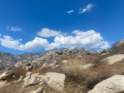 First view of the Long Valley ridgeline. Hard to believe that's still about 4,000' above.