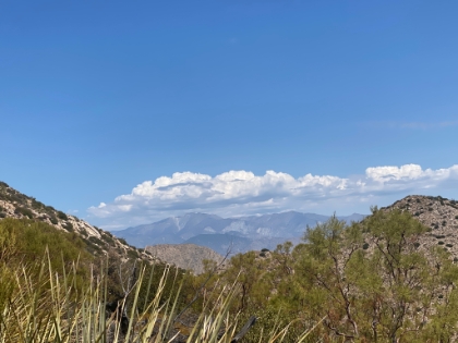 San Gorgonio in the distance.
