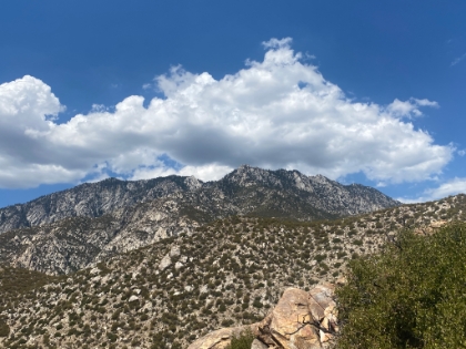 My turnaround spot at just past 6 miles in and about 4,500' of gain.