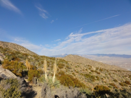 First view of San Gorgonio with some snow still on top from the last storm. I'm not figuring on hitting any snow below Long Valley today.