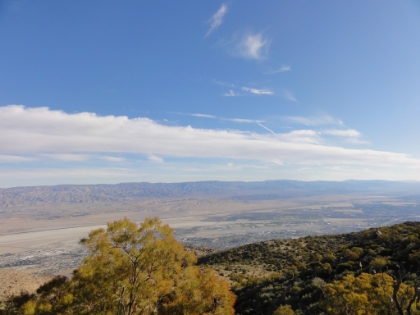 The desert floor from about 4,500' above sea level.