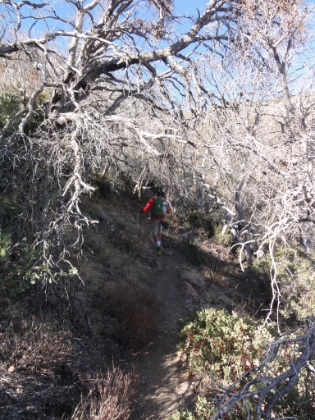 Coach Dru in the chapparal tunnel.
