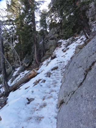 Really icy   steep grade   narrow trail = one heck of a workout. Stabilizing muscles are working overtime. I had a pair of YakTrax Pros with me, which we didn't use on the way up. On the way down, we split the pair, each wearing one. It helped somewhat, but I was still on my ass several times. Coach Dru on the other hand seemed to have great ice traction.