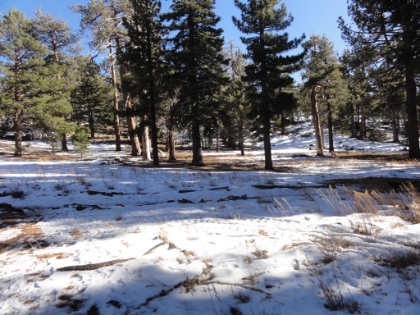 Still plenty of snow in Long Valley and there was another storm due within the next couple of days.