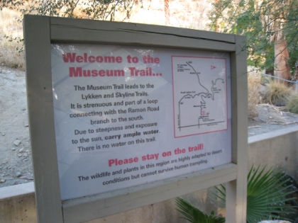 The route starts on the Museum Trail, a short but steep loop that joins with the Skyline trail a bit over a mile up. My plan for the day was to just hike up until I hit the snow line and then come back.