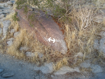 Trail markings. There are no published maps of the Cactus to Clouds route and it is not maintained. But there is enough use that of it that it's pretty easy to follow. I'm sure these trail marking have some technical meaning that I haven't learned yet.