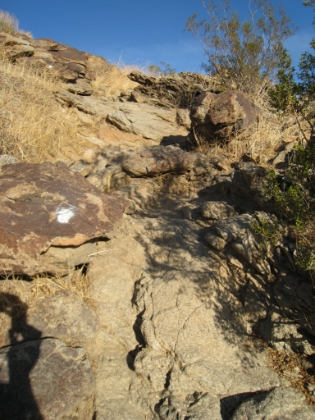A typical portion of the Museum trail. Steep, technical, and marked by white paint. Awesome.