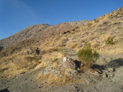 The trail heading up. There isn't much vegetation higher than your knees here. I can't imagine doing this trail in 100+ degree summer heat. It is in the low 50s right now, which will probably make the hike a lot easier.