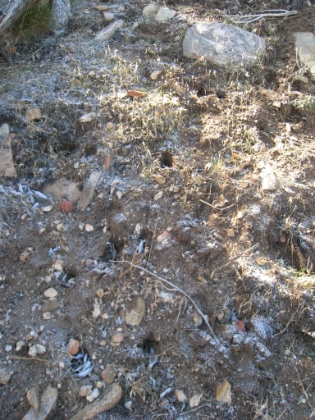 First signs of snow. Some traces of frost/snow start to appear at just over 4000'.