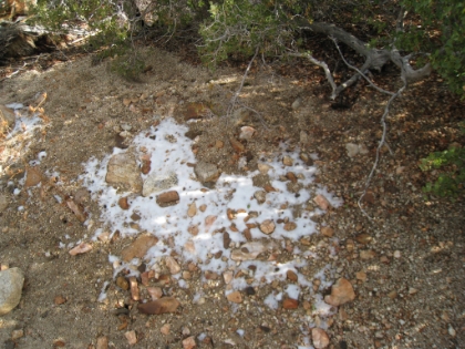 The first real snow patch along the trail at about 5500'.