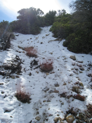 The ground is pretty well blanketed by 6000'. It is really bizarre to see snow in what otherwise still feels like the desert.