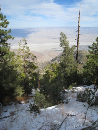 At about 7000' you start to move into the sub-alpine level and now have some tree cover. It's also now starting to get pretty cold. Feels like 30s, and I am still in shorts and a short sleeve tech shirt. I stop to put on long sleeves and light gloves.