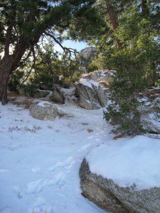 The snow is probably 4-5 inches deep everywhere now. Fortunately it is cold and therefore not slushy, so I'm staying pretty dry. However, I am not wearing my waterproof trail running shoes (I had some silly notion that I would actually be running this trail), and my left big toe is starting to get pretty numb. Why is it always my left big toe?