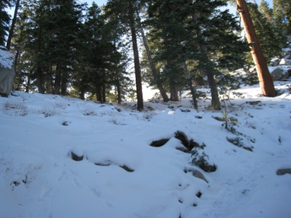 Almost to the ridge. This has been one of those torturous, never ending, "treadmill", peaks, but I think I'm really almost there. My fingers are starting to go numb at this point. I have only my light running gloves that have now been in the snow several times recovering from slips.