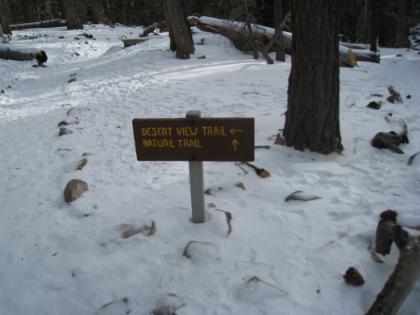 From here the route continues to the top. Another roughly 5 miles and 2400'. One of these times I will be doing that for sure. Evidently the tram station is very close, so I decide to check it out.