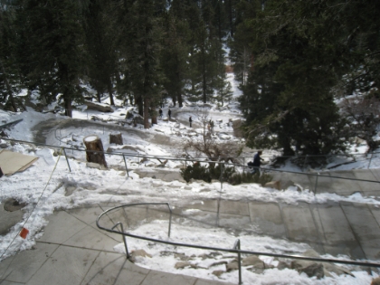 A look down the path leading up to the tram station. I really hate the idea of there being a tram ride to the top, but I must say it is pretty darn cool. And it's cool seeing elderly folk and little kids up here that wouldn't make it otherwise. Lots of kids on sleds, snowball fights, etc.
