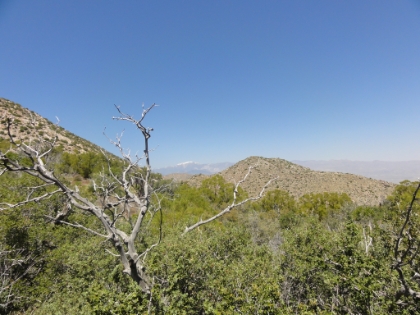 The first view of Mt. San Gorgonio in the distance.