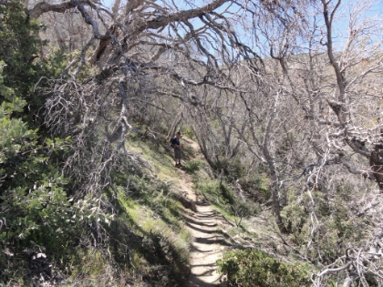Dad in the chapparal tunnel.