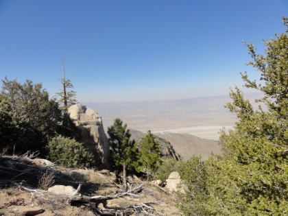 Starting to get into alpine territory almost 7000' above sea level.