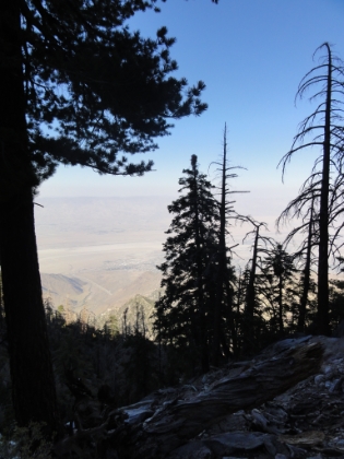 Another pic at around 7800'.