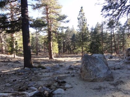 No snow left in Long Valley today. The weather has been hot since my trip here two weeks earlier.