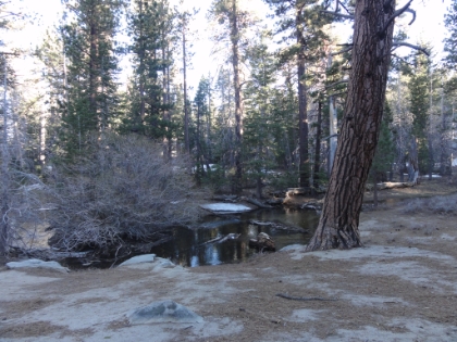 We walked around for a little while in Long Valley. The temperature is probably in the 40s, but still comfortable. We've had perfect weather all day.