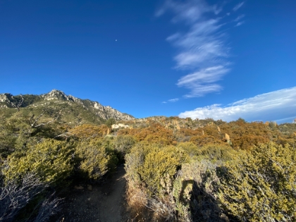 Starting to get close to the ridge with the moon still visible above.