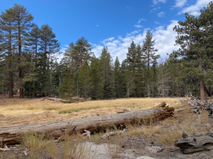 Made it to Long Valley in exactly 6 hours, about 30min faster than last week, and only about 30min slower than my best time.