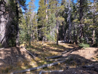 Always nice up here. This would be under 6" of snow the following day!